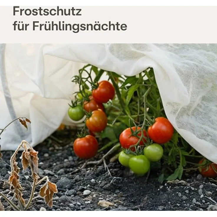 Praknu Gartenvlies 17g/m², 20m² Frostschutzvlies, leicht & wasserdurchlässig, atmungsaktiv, langlebig, vielseitig für Pflanzenschutz und Winterschutz außen – Bild 5