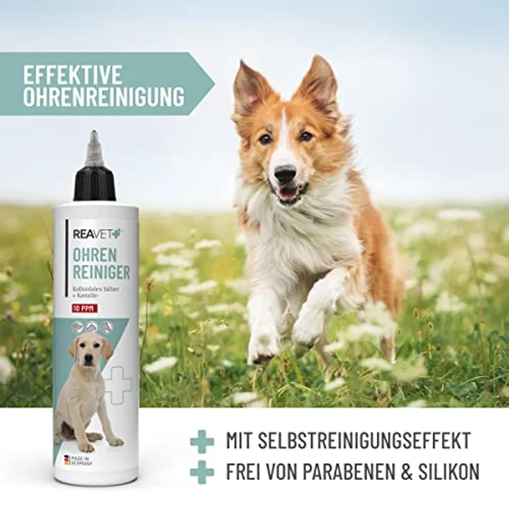 ReaVET TESTURTEIL SEHR GUT 09/23 Ohrenreiniger für Hunde & Katzen 250ml - Ohrreiniger mit Kolloidalem Silber + Natürlicher Kamille I Mittel zum Ohr Reinigen für Hund, Katze, Pferd – Bild 5