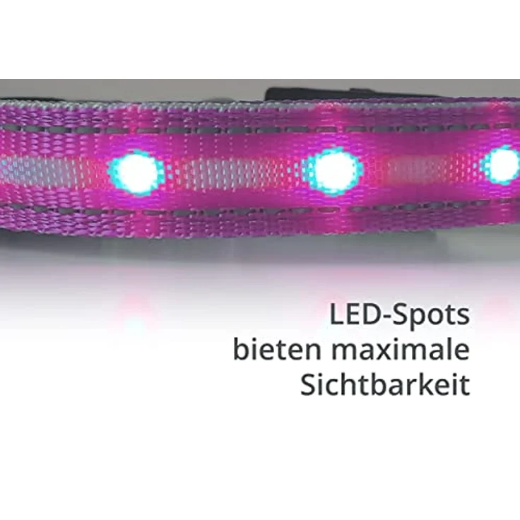 Leuchthalsband für Hunde [Das Original] Leuchtendes LED Hundehalsband zum spazieren gehen auch im Dunkeln- sehr Lange Akkulaufzeit – Sicher Dank hochwertigem Metallverschluss – Bild 3