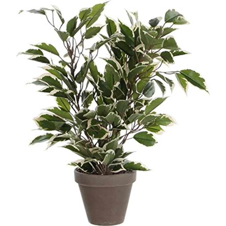 Mica Kunstpflanze Ficus Natasja grün bunt im Topf – Bild 2