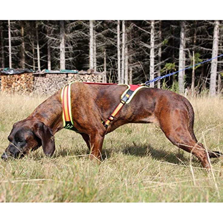 Niggeloh Hundeführgeschirr Follow Trail (S, Hund, Hundesport), Signal Gelb/Rot, handgefertigt, dynamisch & elastisch – Bild 2