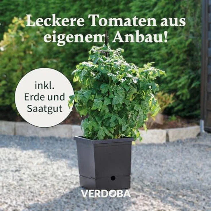 VERDOBA Tomatentopf Anzuchtset, 3,5L Wasserspeicher, 20L torffreie Kokoserde & Bio Buschtomaten Samen, in Deutschland produziert – Bild 2