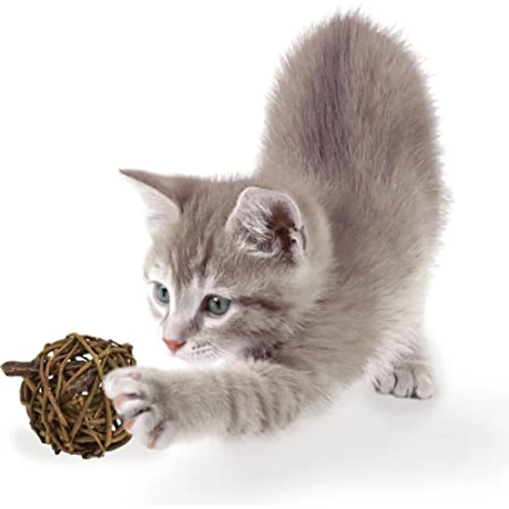 JR FARM Cat Nature-Ball Rindfleisch, Tierspielzeug mit getrocknetem Rindfleischfüllung, 15 g, natürlich und gentechnikfrei – Bild 3