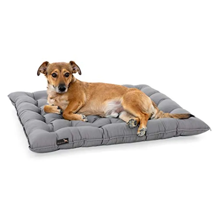 Doctor Bark Pointer | Hundekissen Urban - orthopädisch, waschbar, robust, bequem (M - 50x40 cm, Hellgrau)