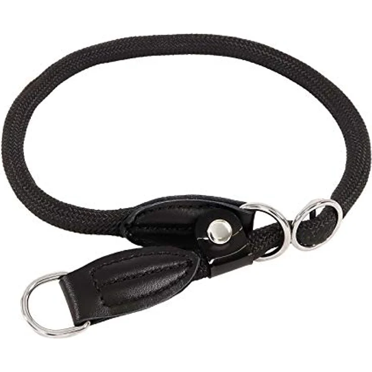 lionto Hundehalsband Retrieverhalsband Dressurhalsband, Länge 30 cm, schwarz – Bild 1