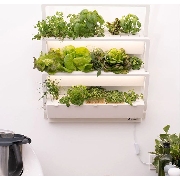 Urbanhive Homefarm – Smarter Indoor Garten für bis zu 15 Kräuter, Salate & Pilze mit App-Steuerung