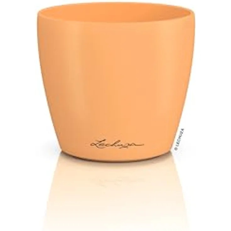 Lechuza Tischgefäß Classico Color 10 Deco Papaya, Matte Oberfläche, Ø 11 x 10 cm