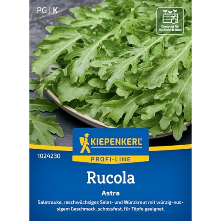 Kiepenkerl Profi-Line Salatrauke Astra, aromatisches Salatkraut mit nussigem Geschmack, schossfest, für Freiland- und Topfkultur