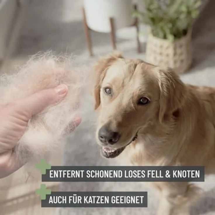 ReaVET TESTURTEIL SEHR GUT 05/24 Hundebürste & Katzenbürste für Langhaar I Kleine Rassen (S) I Entfernt sanft Unterwolle, Verfilzungen & Knoten I Haustier Bürsten – Bild 5