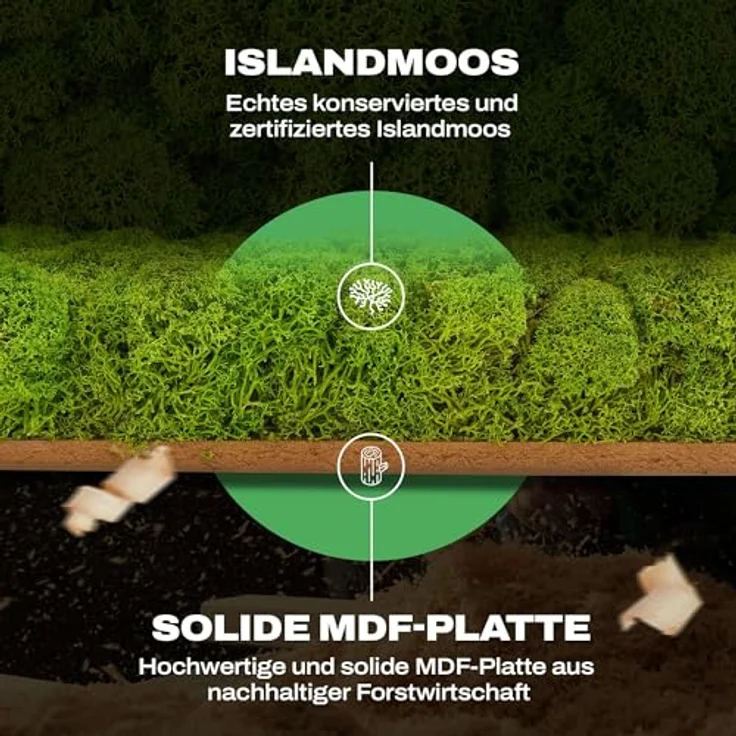 naturewalls Moospaneel - Mooswand DIY - Moosplatte aus echtem Islandmoos Pflanzenbild Premium 25x25cm, Küche - Preisvergleich – Bild 4