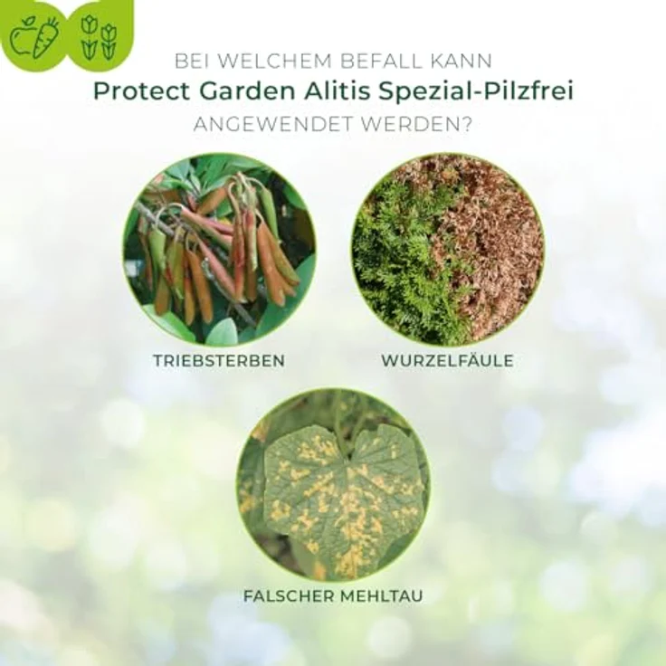 PG Spezial-Pilzfrei Aliette 4x10 g – Bild 3