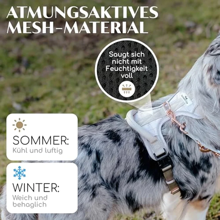 FREUDENTIER® Hundegeschirr mit atmungsaktiver Polsterung - Bombenfester Sitz - Anti Zieh Brustgeschirr für große, mittelgroße und kleine Hunde (XL) in Weiß – Bild 4