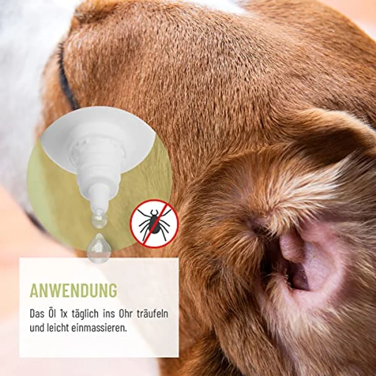 ReaVET TESTURTEIL SEHR GUT 01/24 Ohrmilbenöl Plus 110ml sofort wirksames Mittel für Hunde – gegen Ohrmilben mit Kamille, Sanfte Pflege bei Juckreiz im Ohr, Ohrentropfen Milben, Ohrenreiniger – Bild 3