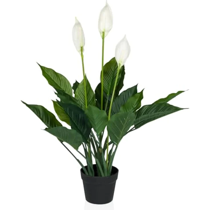 hjh OFFICE Kunstpflanze SPATHIPHYLLUM Kunststoff Einblatt, 80.0 cm, weiße Blüten, Zimmerpflanze im Topf, Kunstblume – Bild 1