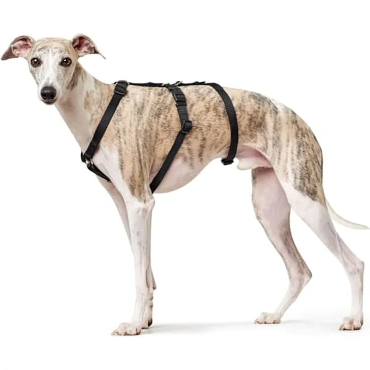 Hunter Sicherheits-Geschirr Vario Rapid schwarz S-M – Bild 4