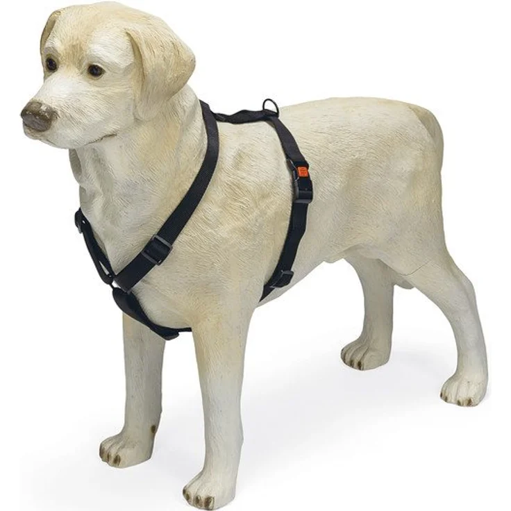 Karlie Hunde-Geschirr ASP - Stufenlos verstellbar, Nylonmaterial, Schwarz, 25-40 cm – Bild 1