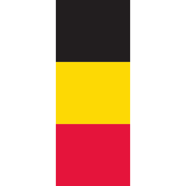 Flagge Belgien 110 g/m² ca. 300 x 120 cm