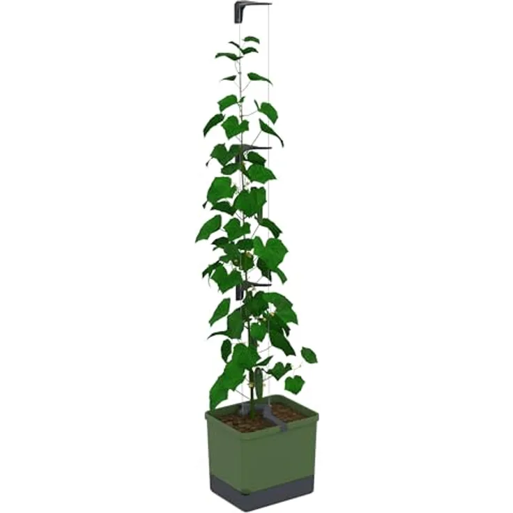 GUSTA GARDEN Curt Cucumber - Selbstbewässernder Gurkentopf mit Ranksystem, 20L Erdvolumen & 4,5L Wassertank, Rankhilfe, Gurken, UV-Stabil, Made in EU (dunkelgrün)
