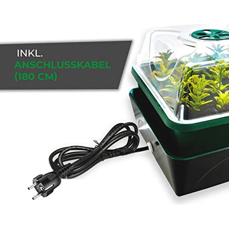 Bio Green Hollandia Anzucht-Set – Bild 5