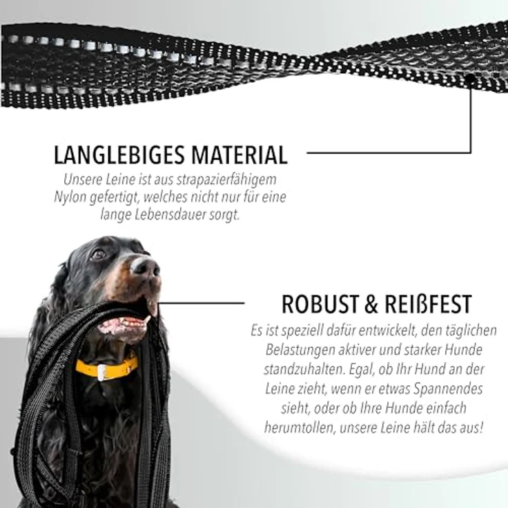 Bluzelle Hundeleine (XL, Hund, Spazieren), Halsband + Leine, reflektierende Nähte, rutschfester Griff – Bild 5