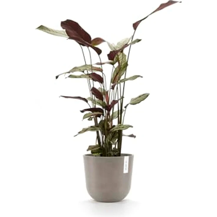 Ecopots ECOPOTS Oslo met waterreservoir - taupe Ø 25 cm, nachhaltiges Pflanzgefäß aus recyceltem Kunststoff – Bild 3
