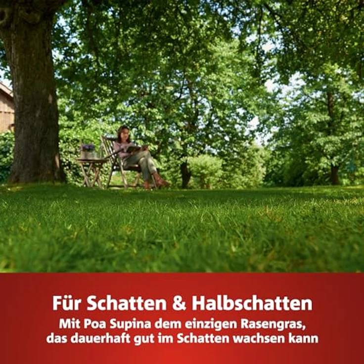 WOLF-Garten Turbo-Nachsaat Schatten Rasen 0,5 kg für 25m² LR-S25 – Bild 3
