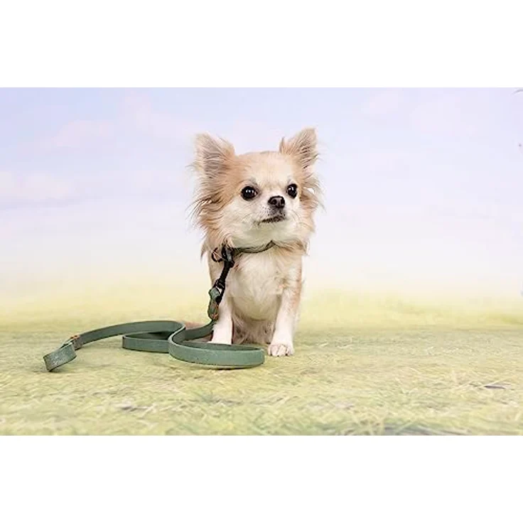 Flamingo LEANO Leine, 130 cm, 15 mm, grün aus Kunststoff – Bild 2