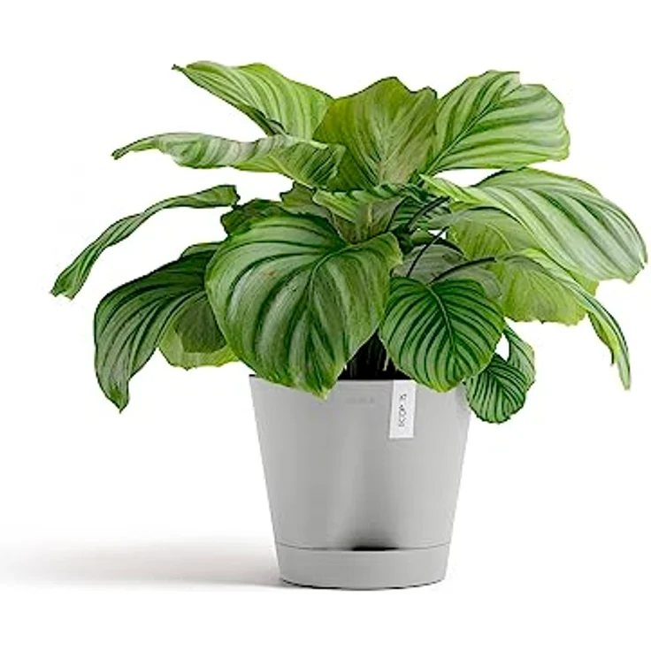 ECOPOTS Blumentopf Venice 2 mit Bewässerung Hell Grau - Durchmesser Ø 30 cm rund groß - Pflanzentopf aus Recycling Kunststoff - Übertopf mit Wasserversorgung modern für Indoor und Outdoor – Bild 2