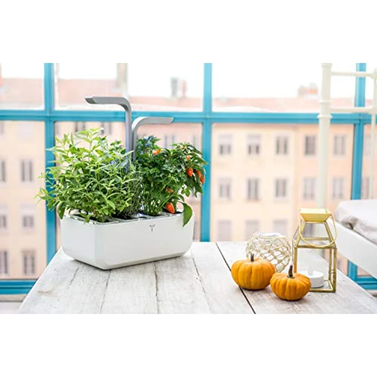Veritable Anzuchttopf Véritable SMART, Indoor-Garten mit Adapt'Light LED-Technologie für 4 Pflanzen, bis zu 4 Wochen autonom – Bild 3