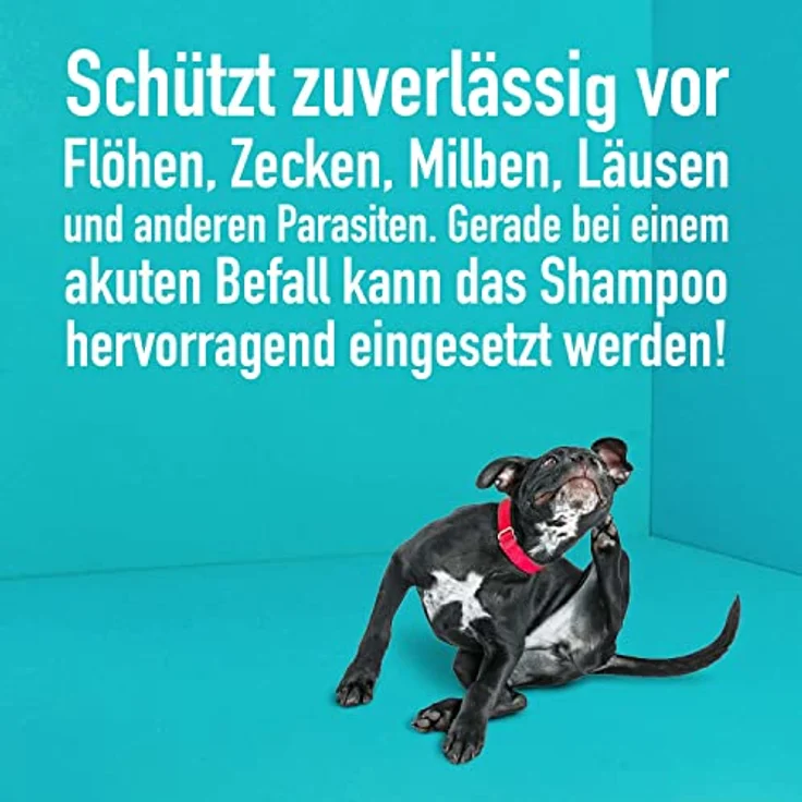 Green Hero Floh- und Zeckenshampoo für Hund & Katze schützt vor Flöhen, Zecken, Milben, Läusen & Parasiten 250ml Hundeshampoo & Katzenshampoo ohne Silikone, Parabene & Mikroplastik – Bild 4