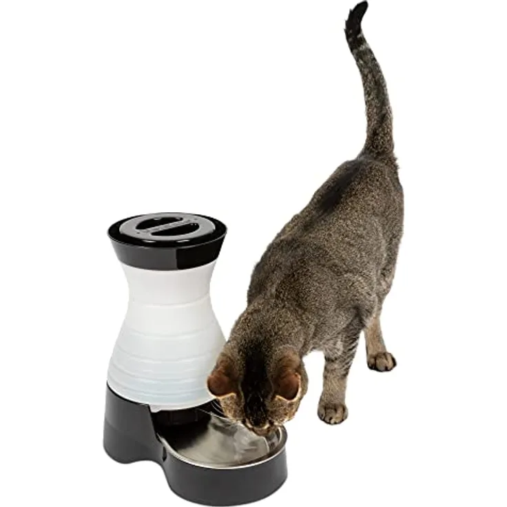 PetSafe Gesundes Pet Water Station Hunde und Katzen Wasser System mit Edelstahl Schüssel