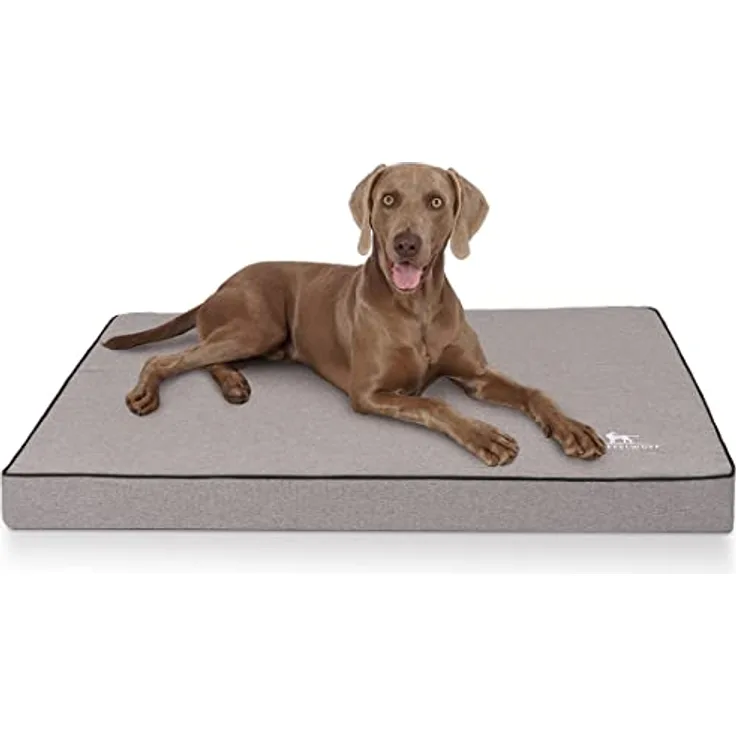 Knuffelwuff Orthopädische Hundematte Nantucket aus Velours mit Handwebcharakter L 80 x 60cm Grau - Abnehmbarer Bezug - waschbar - für große, mittelgroße und kleine Hunde