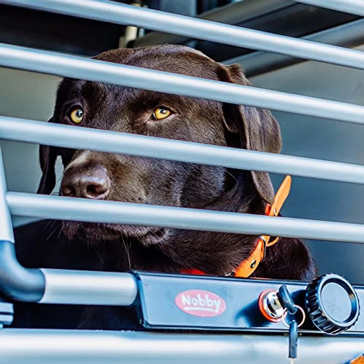 Nobby Aluminium Carbox "ROUND CORNER" B x T x H: 59 x 55 x 49 cm – Bild 3