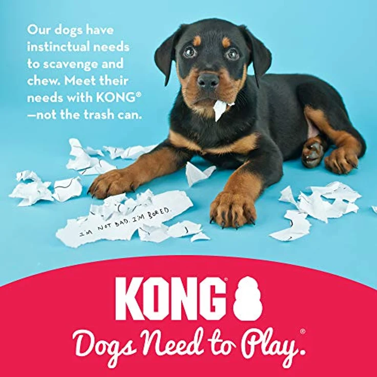 KONG – Extreme Hundespielzeug – Extra Robuster Naturkautschuk, Schwarz – Kauen, Jagen, Apportieren – Für Sehr Große Hunde – Bild 5