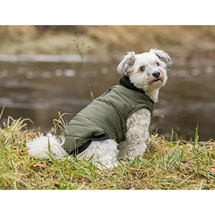 Trixie Arlay frakke, S: 36 cm, mørkegrøn (S, Hundemantel), Hundebekleidung