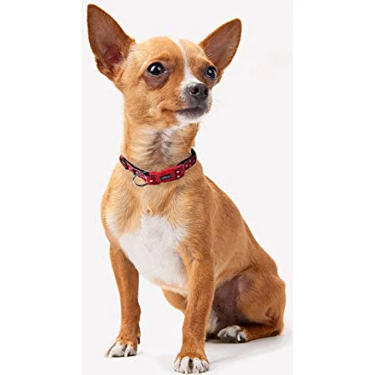 CERDÁ LIFE'S LITTLE MOMENTS Minnie Mouse Hundehalsband für Kleine Hunde, Offizielle Disney Lizenz, Halsumfang 18-30 cm, Dicke 15 mm, XXS-XS – Bild 3