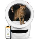Litter-Robot 4 mit Tritt & Zaun von Whisker (Weiß) - Selbstreinigende Katzentoilette, WiFi, klumpendes Streu, 2-Jahre Garantie - Preisvergleich