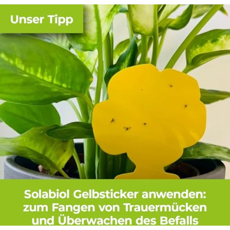 PROTECT GARDEN Lizetan AZ Trauermückenfrei, Gießmittel gegen Bodenschädlinge, 75 ml Konzentrat, geruchlos. – Bild 5
