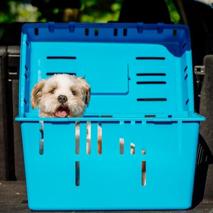 Nobby Transportbox Pet Caddy II – Bild 2