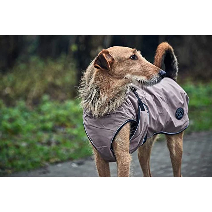 HUNTER UPPSALA Hundemantel, wasserabweisend, reflektierend, 35, taupe – Bild 3