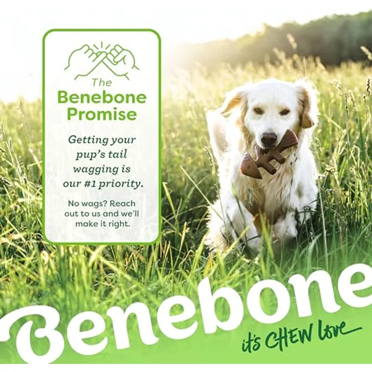 Benebone Fishbone 2-Pack Mini 12cm - (81005421034), Hundespielzeug – Bild 6