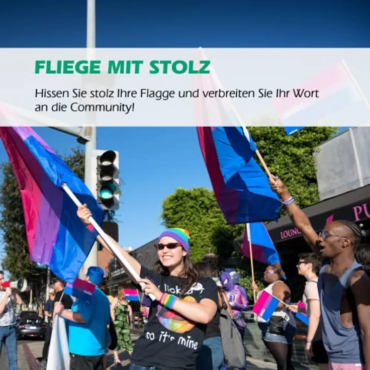 MOGADEE Bisexual Flag, 90 * 150cm mit Wetterschutz und UV-Schutz, hochwertige Oxford-Stoffflagge für Indoor und Outdoor, geeignet für LGBTQ Festivals und Paraden – Bild 3