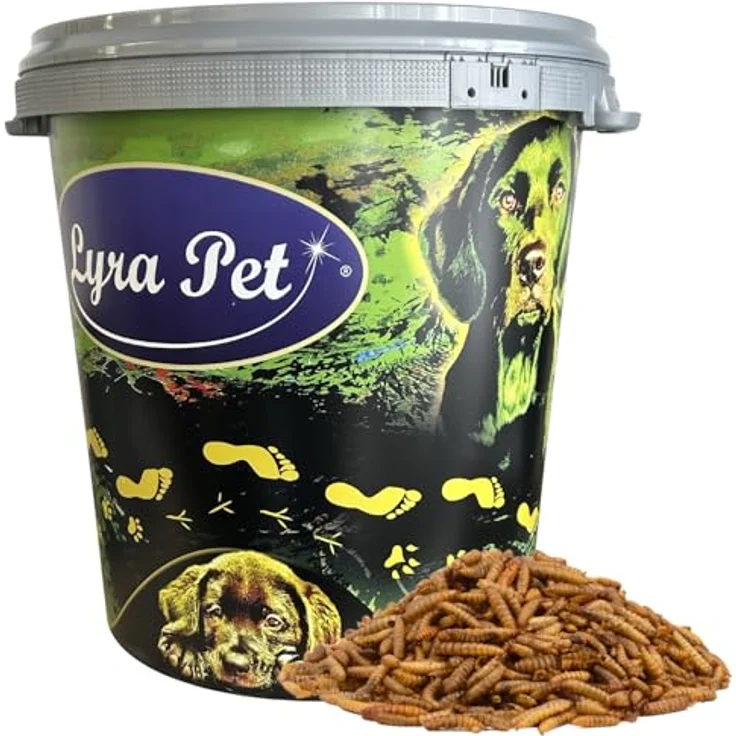Lyra Pet® Soldatenfliegenlarven, 5 kg in 30 L Tonne, reich an Kalzium & Proteinen, ideal für Vögel, Fische, Nager & Reptilien – Bild 1
