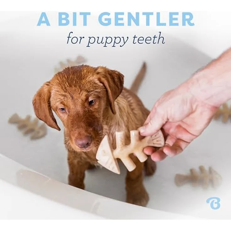 Benebone Fishbone Puppy 2er Pack Mini 12cm - Hundespielzeug, blau – Bild 2