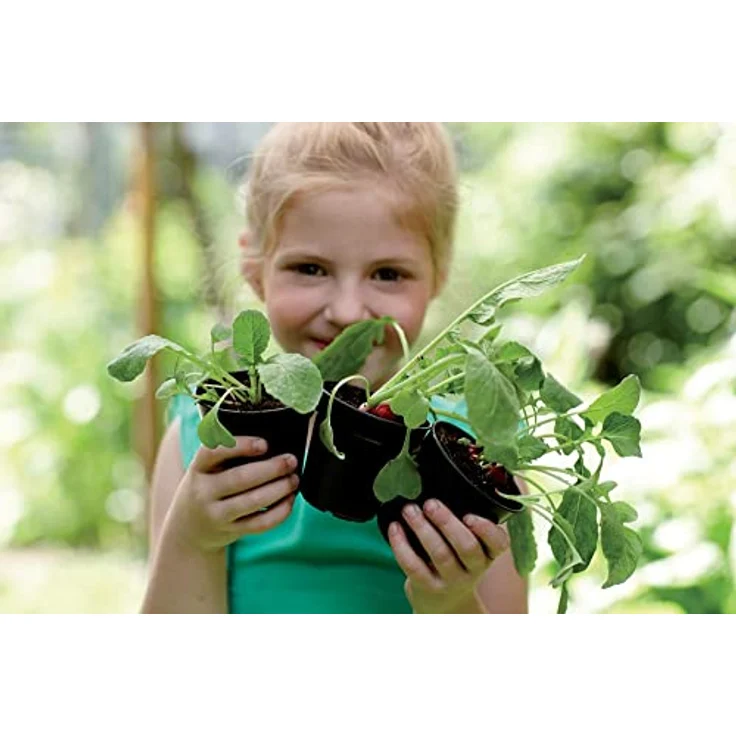 elho Green Basics Anzuchttopf 8 - Growpot für Züchten und Ernten - Ø 7.5 x H 12.0 cm - Schwarz/Living Schwarz – Bild 5
