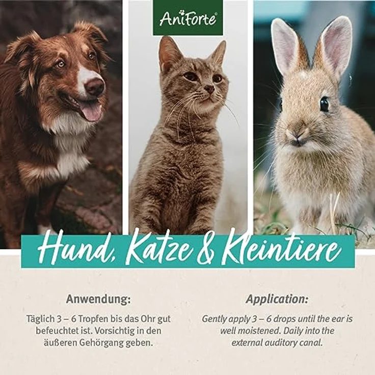AniForte Ohrentropfen mit kolloidalem Silber 25ppm & Ringelblume 50ml | Für Hunde, Katzen & Kleintiere I Bei Ohrentzündungen, Juckreiz I Ohrenpflege, Ohrenhygiene, Gesunde Ohren – Bild 5