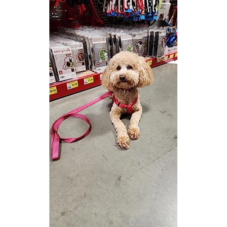 Flamingo Ziggi, Hundeleine 130cm aus strapazierfähigem Nylon, rosa, 20mm – Bild 5