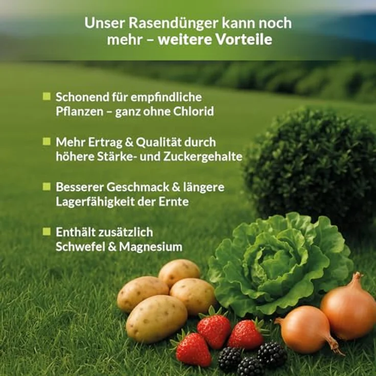 TerraDomi Herbstrasendünger mit Kalium 25 kg für 1000m² I Wurzelstärkung und Pflanzenkräftigung – Bild 4