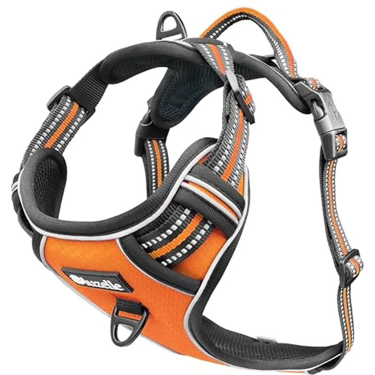 bluzelle Hundegeschirr für kleine Hunde, Reflektierend mit GPS Tasche, Anti-Zug Hundeweste, Atmungsaktiv, XS, Orange