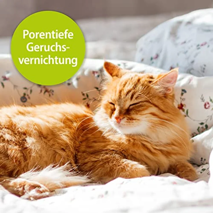 Bactador Katzentoiletten Enzymreiniger Katzenurin Geruchsentferner Spray 500ml Mikrobiologischer Geruchsneutralisierer Katzenurin & Tiergerüche Porentiefe Reinigung Hunde & Katzenumgebung – Bild 2